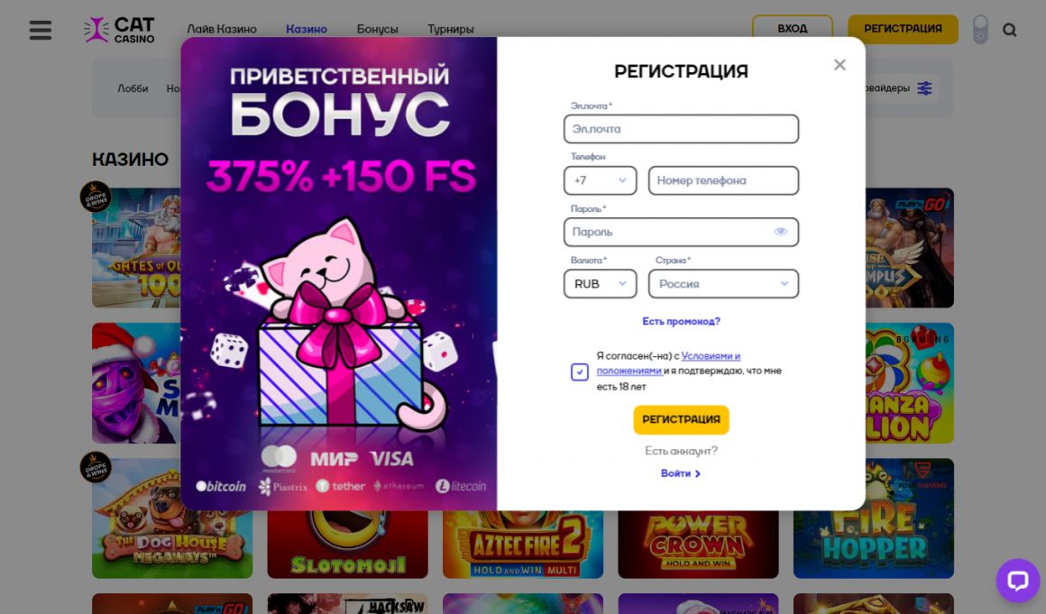 Cat Casino - регистрация нового игрока Кэт Казино - регистрация нового игрока